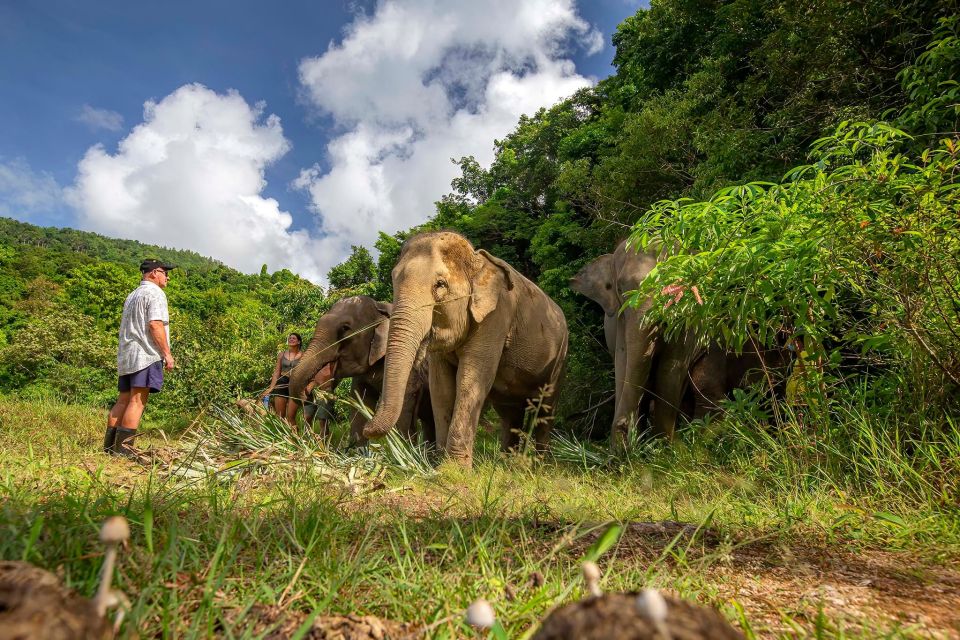 Phuket: Ethical Elephant Nature Park Visit With Lunch - Booking and Cancellation