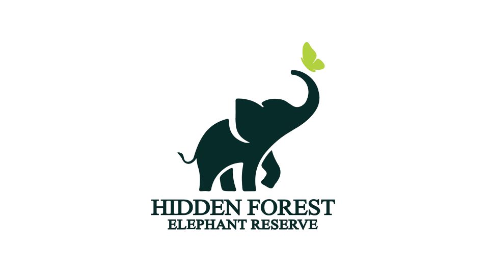 Phuket: Hidden Forest Elephant Reserve With Meal & Transfer - Meet and Feed the Elephants