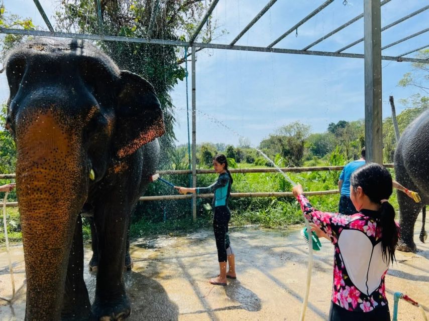 Phuket: Phuket Elephant Care Sanctuary ECO Tour - Included in the Tour