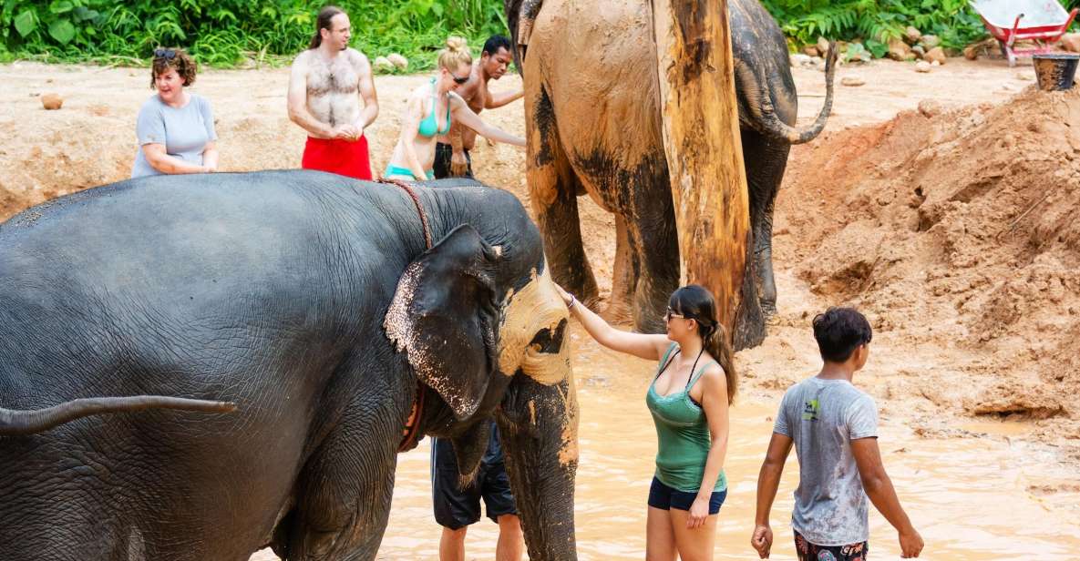 Phuket: Phuket Elephant Sanctuary, Wat Chalong & More - Conserving Thailands Pachyderms