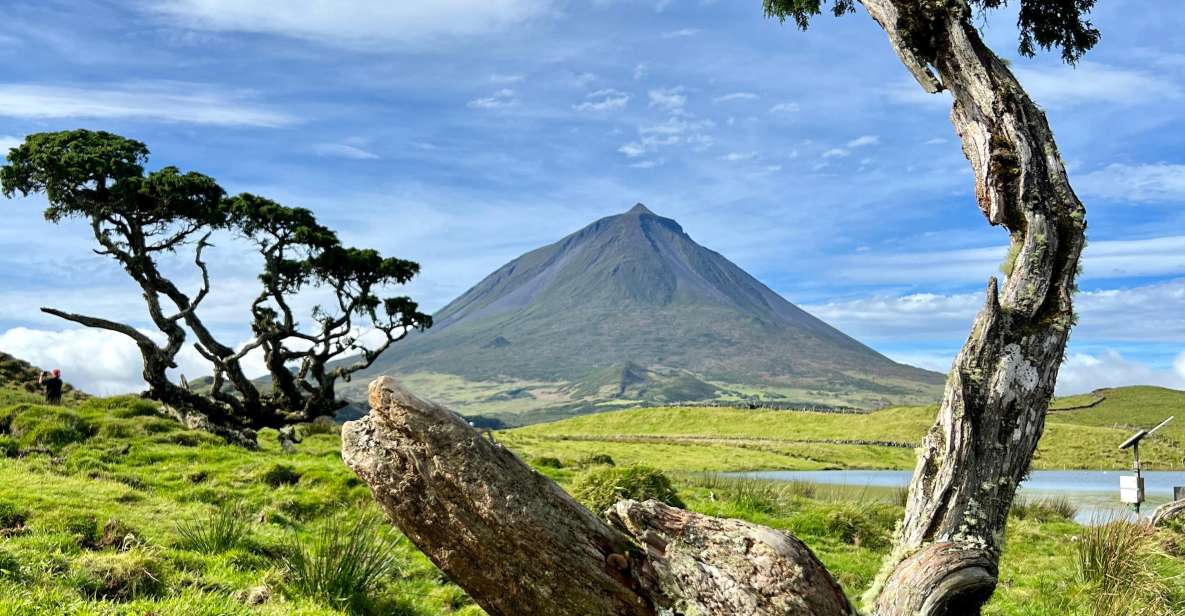 Pico, Azores: Highlights Tour With Wine Tasting and Picnic - Secret Stop and Madalena