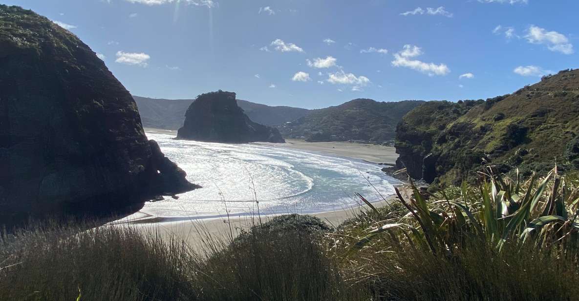 Piha & Karekare - Out of Auckland Private Tour - Inclusions