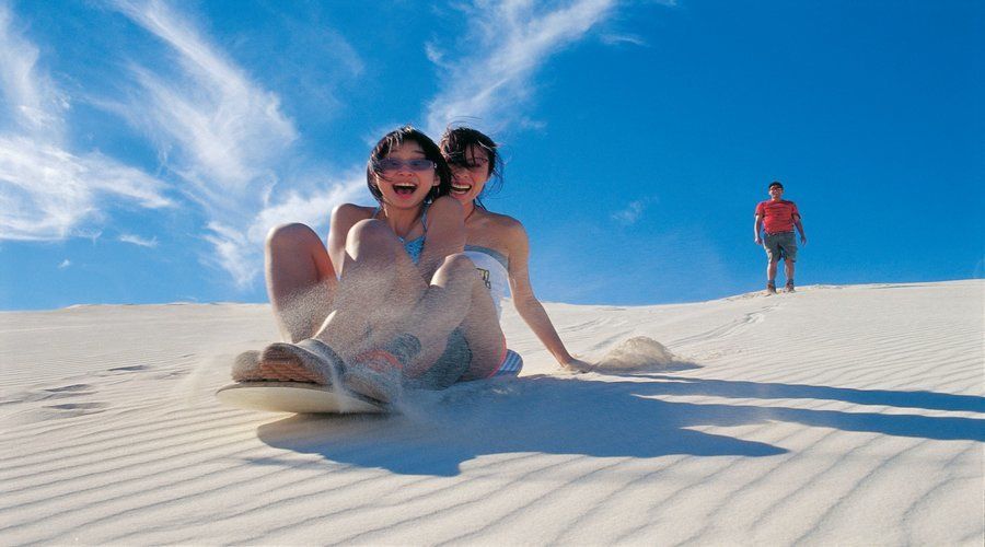 Pinnacles, Koalas & Sandboarding Tour Day Trip From Perth - Tour Highlights and Important Information