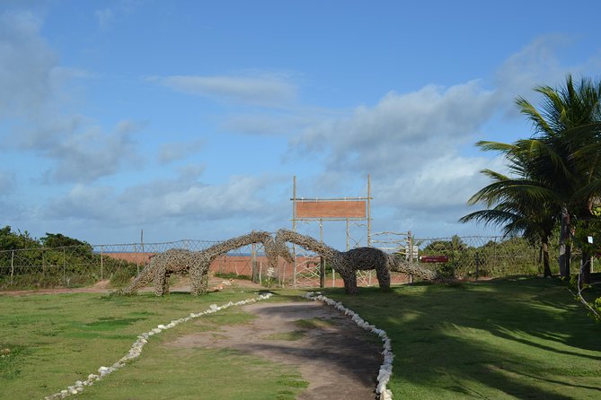 Pipa Beach Tour - Leaving Natal - Requirements and Restrictions