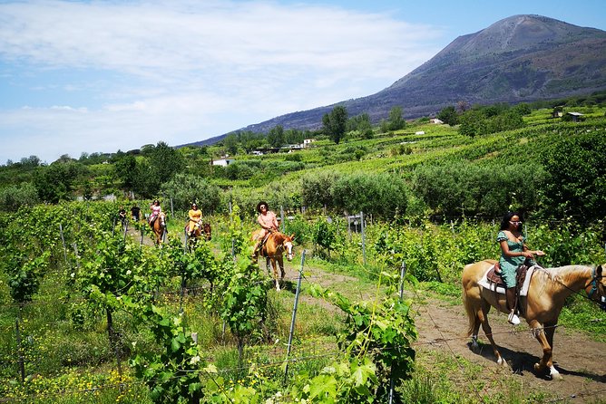 Pompeii Guided Tour & Horse Riding on Vesuvius With Wine Tasting - Horseback Riding on Vesuvius