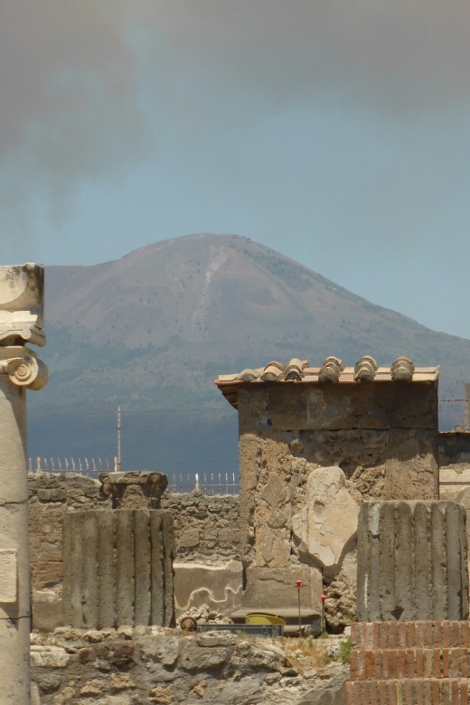 Pompeii: Ruins and Vesuvius Full-Day Guided Combo Tour - Private Van Pick-Up