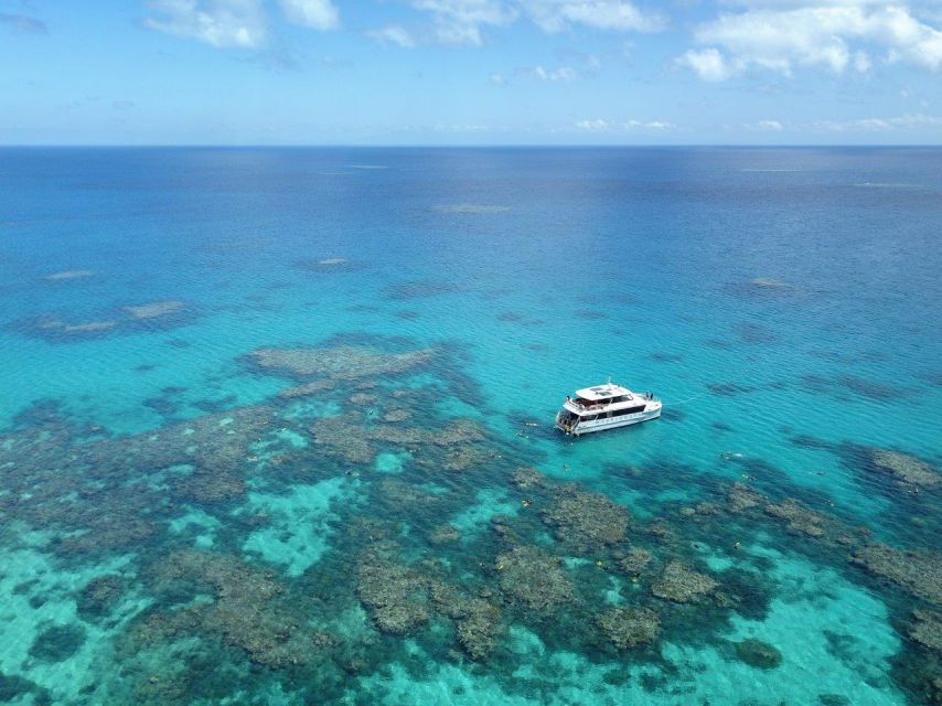 Port Douglas: Outer Great Barrier Reef Snorkeling Cruise - Reservation