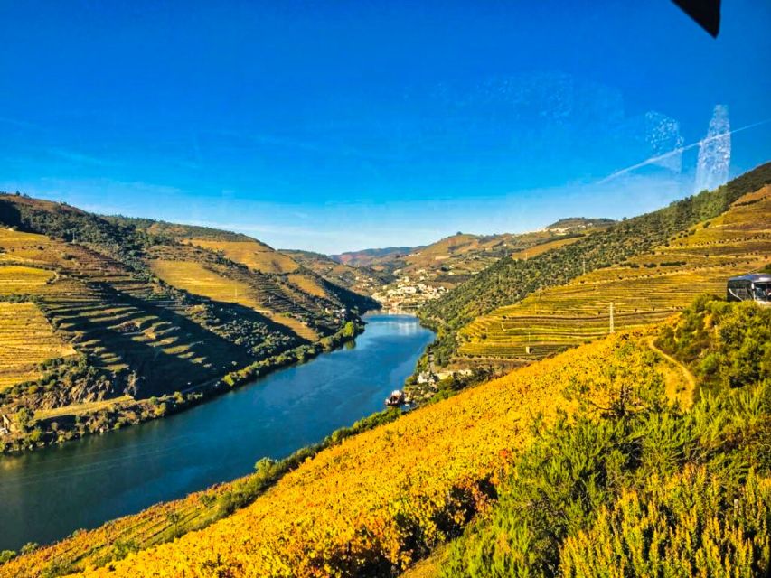 Porto: Douro Valley Tour With 3 Wineries & Lunch - Lunch and Wine Pairing