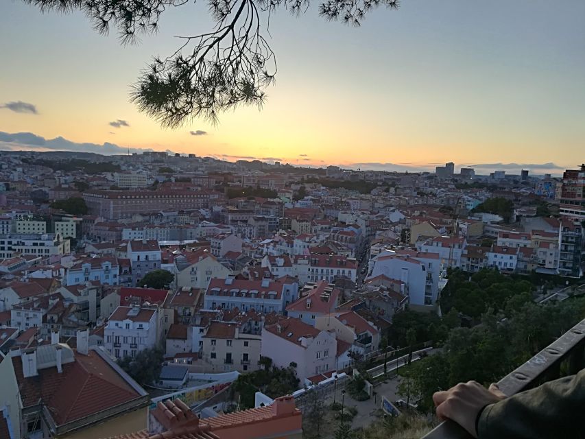 Porto / Lisbon Transfer With Aveiro, Nazaré & Óbidos - Visiting the Famous Nazaré Dunes