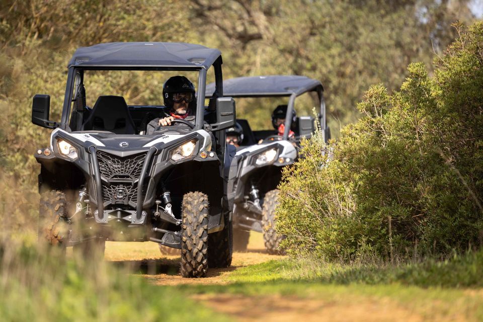 Porto Santo: 90 Minutes Off-Road Buggy Tour - Highlights