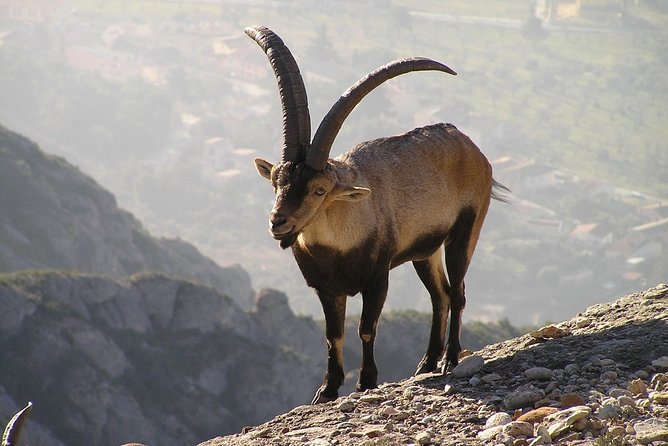 PREMIUM SMALL GROUP: Montserrat Monastery & Scenic Mountain Hike - Meeting and Pickup