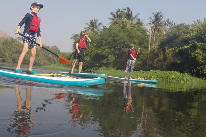 Private 1.5 - 2 Hour Afternoon SUP Class for All Ages and Levels - Reviews and Location Details