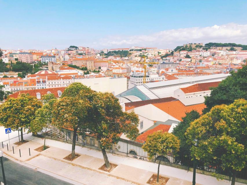 Private Adventure Transfer From Lisbon-->Porto+Obidos&Aveiro - Discovering the Portuguese Venice of Aveiro