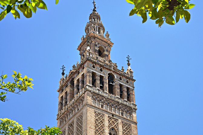 Private Alcazar, Giralda and Cathedral of Seville Tour - Requirements for Participants