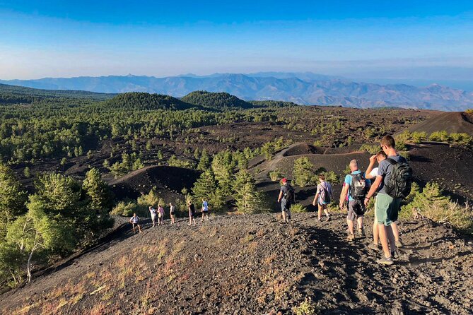 Private and Guided Tour on Etna With Wine Tasting Included - Experience Details