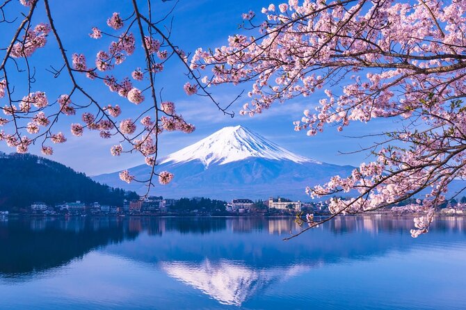 Private Car/Van Charter Full Day Tour MT Fuji And Hakone, (Guide) - Accessibility Features