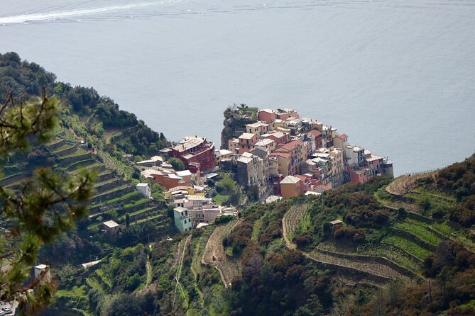 Private Cinque Terre Trek & Tour - Winegrowing Heritage Insights