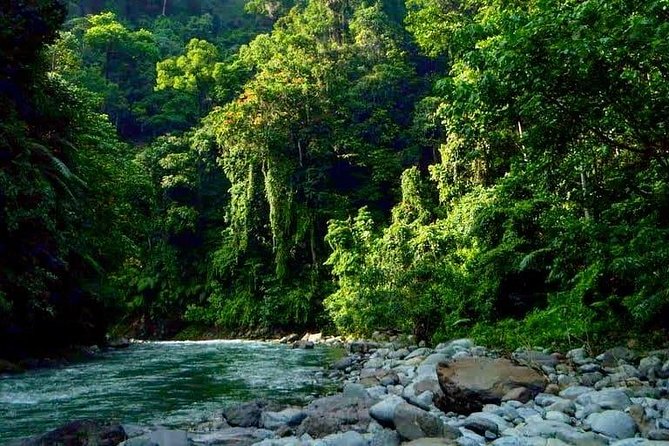 Private Full-Day Bukit Lawang Trekking Tour From Medan - Accessibility and Fitness Requirements