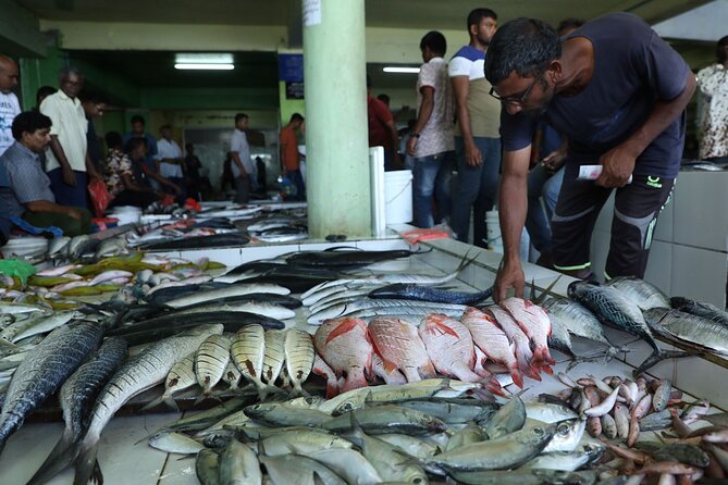 Private Male City Walking Tour With Optional Vilimale Tour - Highlights of the Experience