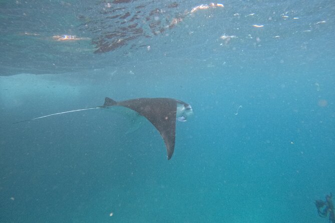 PRIVATE Nusa Penida on Boat Snorkeling & Island Tour (INCLUSIVE) - Meeting and Pickup Details