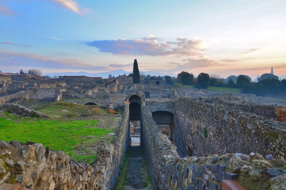 Private Pompeii Tour and Wine Tasting - Tour Highlights