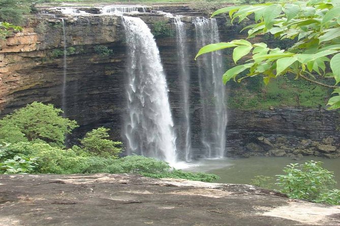 Private Safari Excursion to Panna National Park From Khajuraho - Certified Naturalist and Guidance