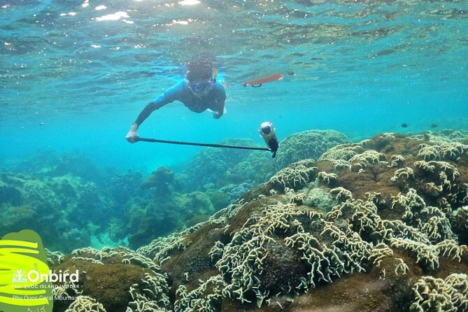 Private- Short Snorkeling at Coral Mountain & North-East Coral Reef by Speedboat - Pickup and Meeting Locations