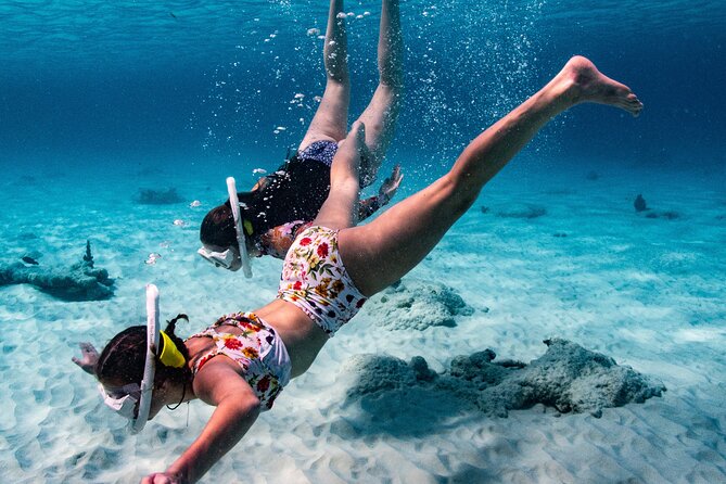 Private Snorkeling Tour Bonaire - Guest Experiences and Reviews