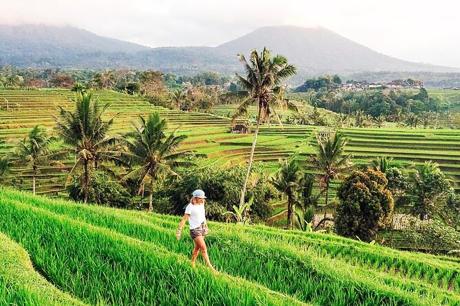Private Tour: Bali UNESCO World Heritage Sites - Itinerary for the Day