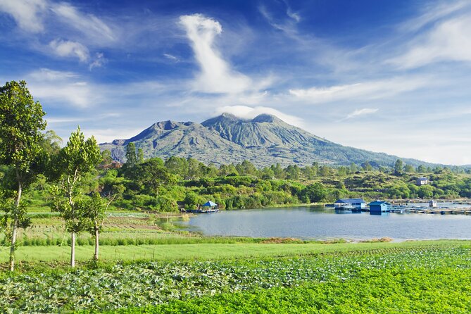 Private Tour: Bali Volcano With Jungle Swing Experience - Capturing Tegalalang Rice Terrace