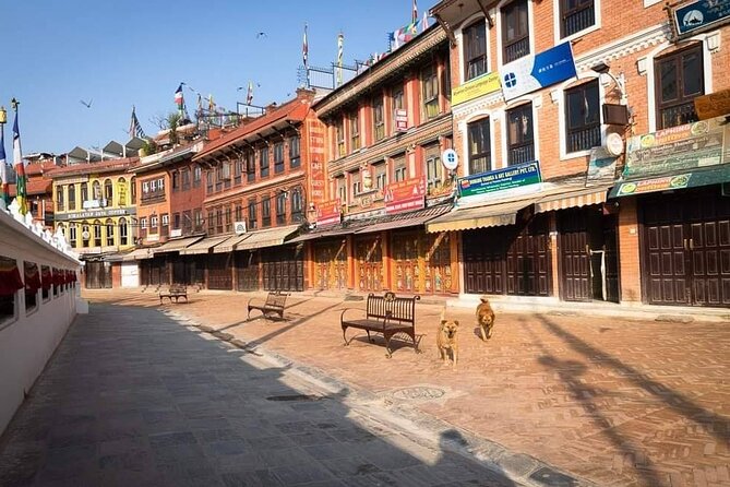 Private Tour of 4 UNESCO Heritage Sites in Kathmandu by Car - Inclusions for Your Tour