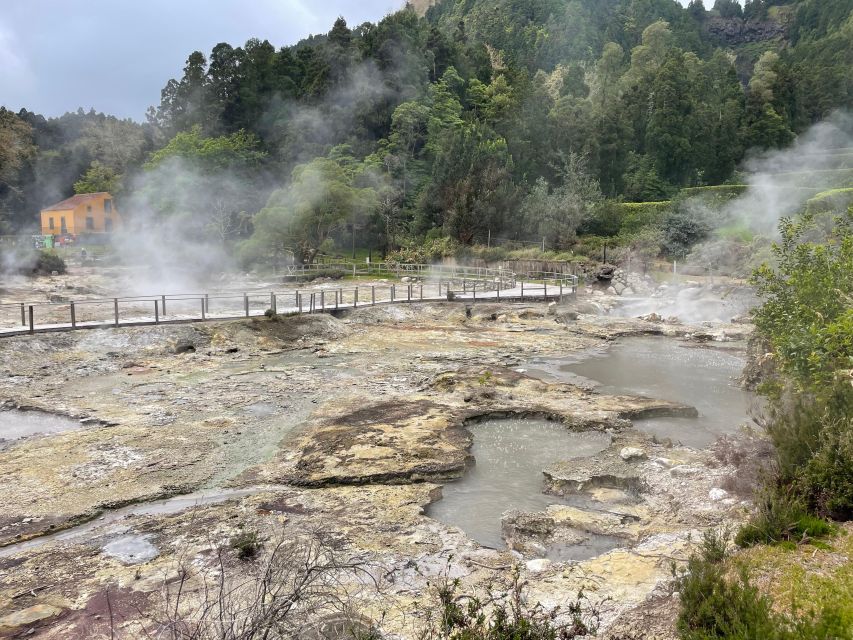 Private Tour of Furnas Valley, Gorreana Tea - Island Gems - Scenic Viewpoints