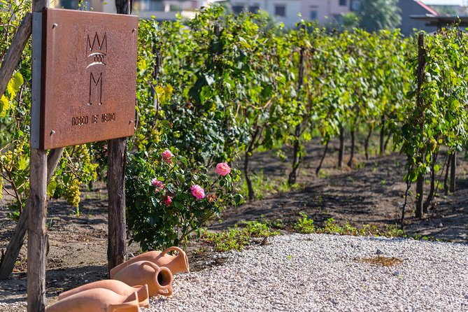 Private Tour of Pompeii Ruins, Organic Wine Tasting and Lunch - Exploring the Pompeii Ruins