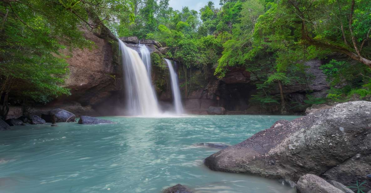 Private Waterfall, Rainforest & Handcrafted Chocolate Tour - Lush Tropical Rainforest