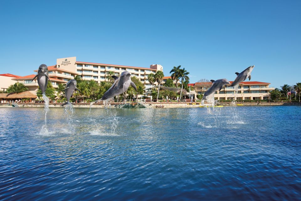 Puerto Aventuras: Amazing Dolphin Encounter With Lunch - Playful Marine Mammals