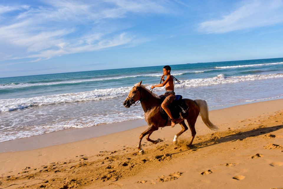 Puerto Plata: Horseback Riding on the Beach - Horseback Riding on the Beach