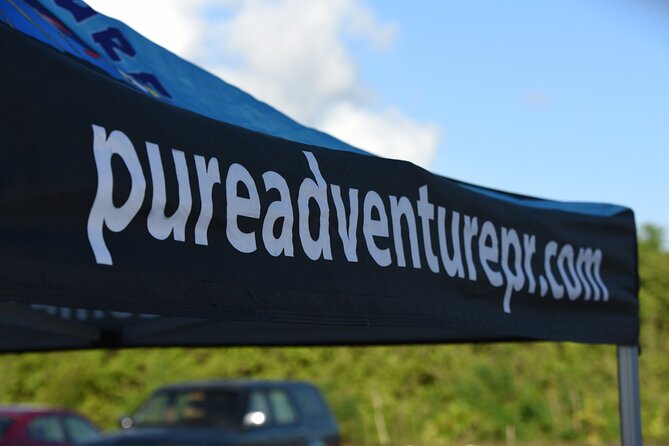 Puerto Rico Sunset Magic: Bio Bay Kayaking Tour From Fajardo - Understanding Bioluminescence