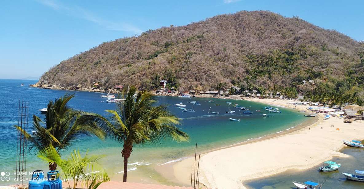 Puerto Vallarta: Private Boat Trip to Yelapa With Snorkeling - Snorkeling in the Marine Wonderland