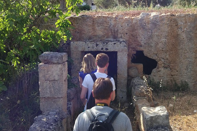 Puglia Bike Tour: Cycling Through the History of Extra Virgin Olive Oil - Visiting Olive Fields, Mills, and Farms