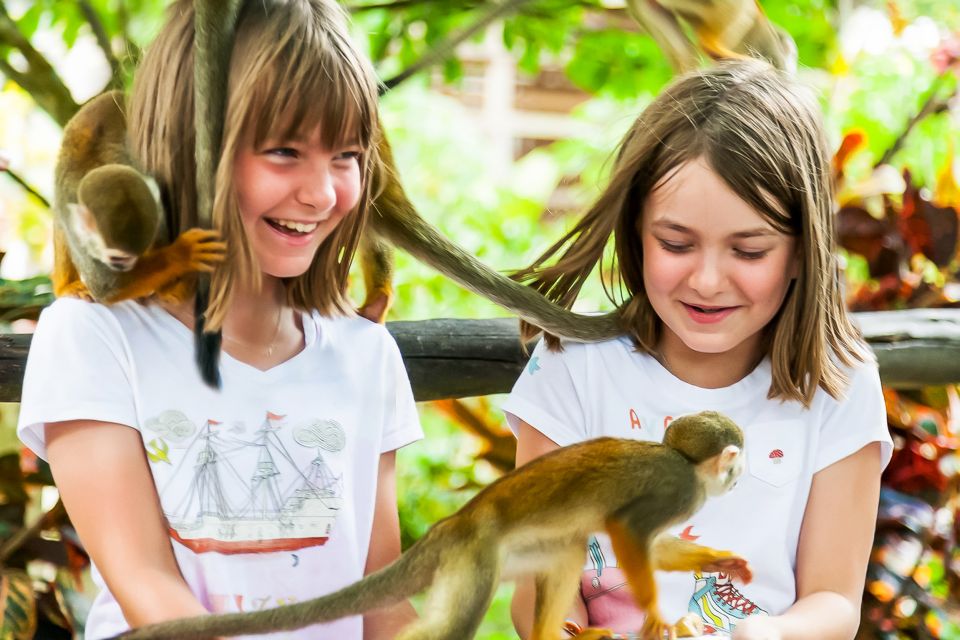 Punta Cana: Monkey Land Half-Day Safari and Plantation - Coconut House Experience