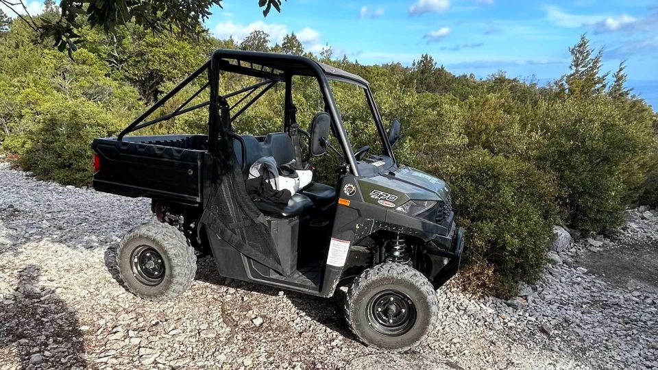 Punta Salinas: Buggy Excursion From Baunei - Buggy Rental and Inclusions