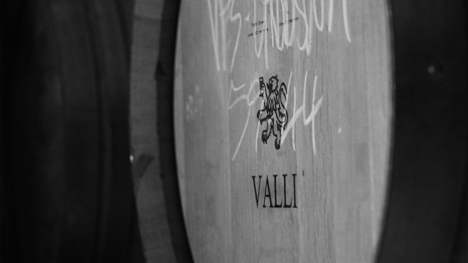 Queenstown: Valli Wine Tasting Experience - Valli Winery Background