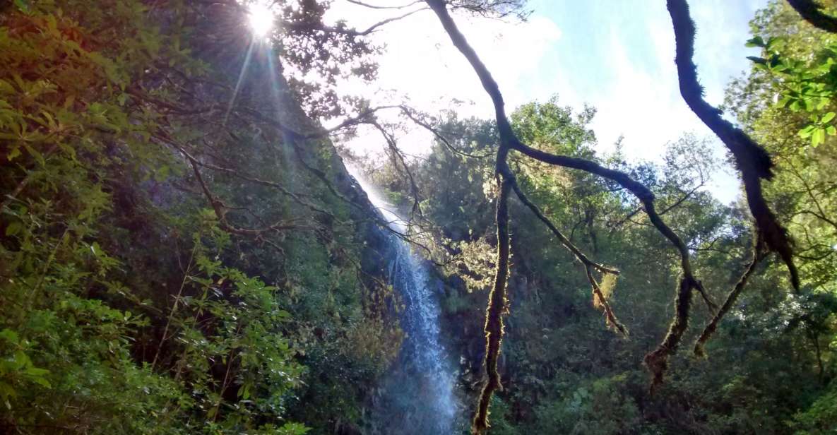 Rabacal: Wind Lagoon, Risk Aqueduct, and 25 Fountains Aqueduct - Hiking Through the Levada