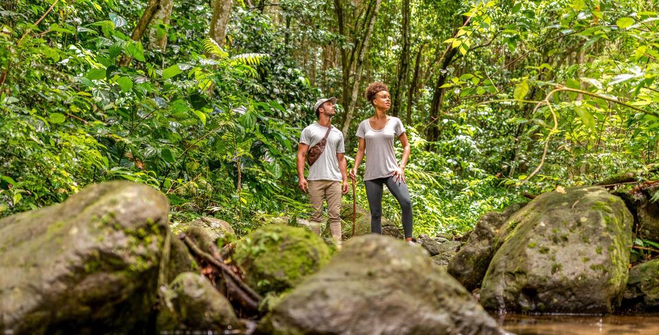 Rainforest Hike and Beach - Group Size and Cancellation