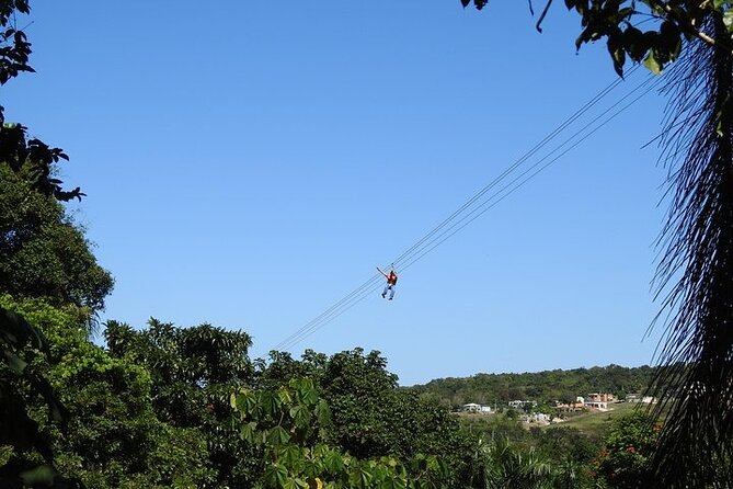Rainforest Zipline in Foothills of the National Rainforest - Inclusions