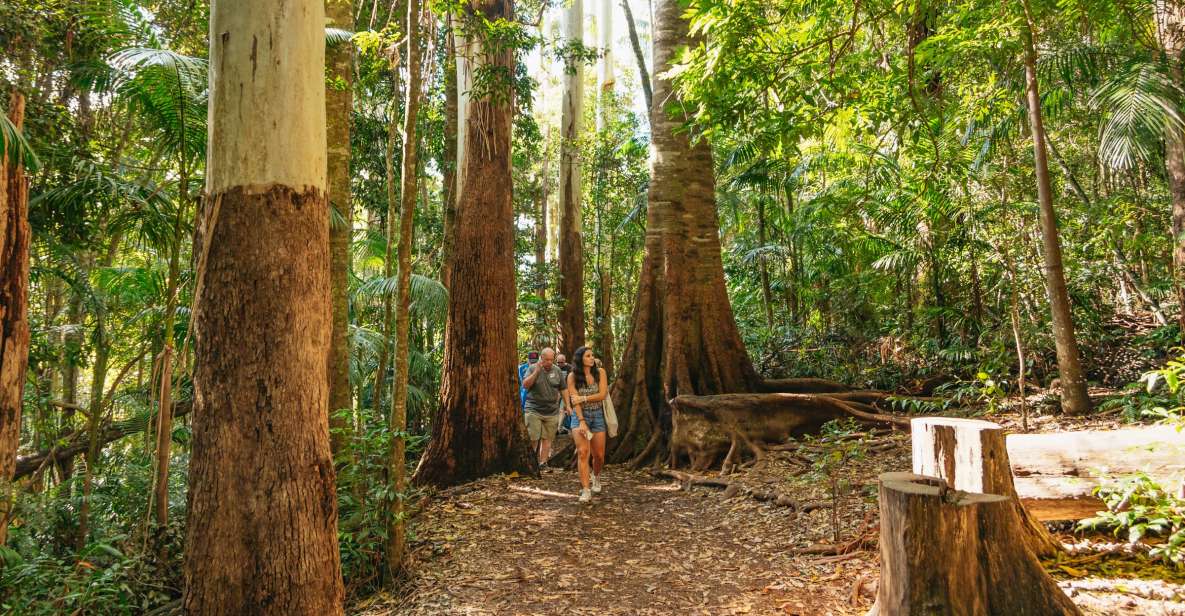 Rainforests and Glow Worm Cave: Day Tour From Brisbane - Booking Information and Cancellation Policy