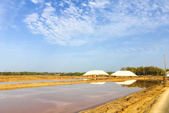 Ria Formosa Natural Park Birdwatching Segway Tour From Faro - Segway Safety Briefing