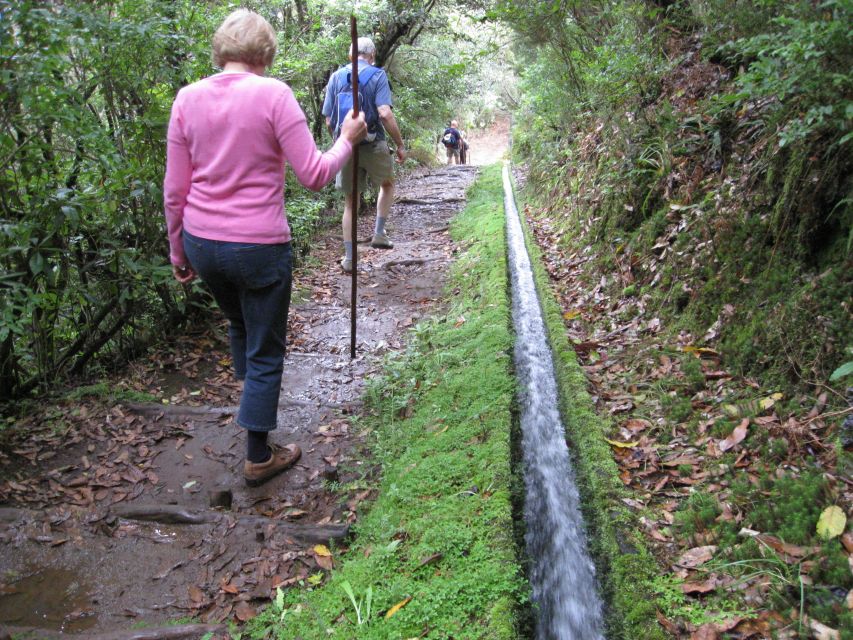 Ribeiro Frio / Portela - Levada Walk - Description