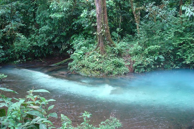 Río Celeste Nature Hike and Swimming Experience at the Blue River - Transportation and Logistics