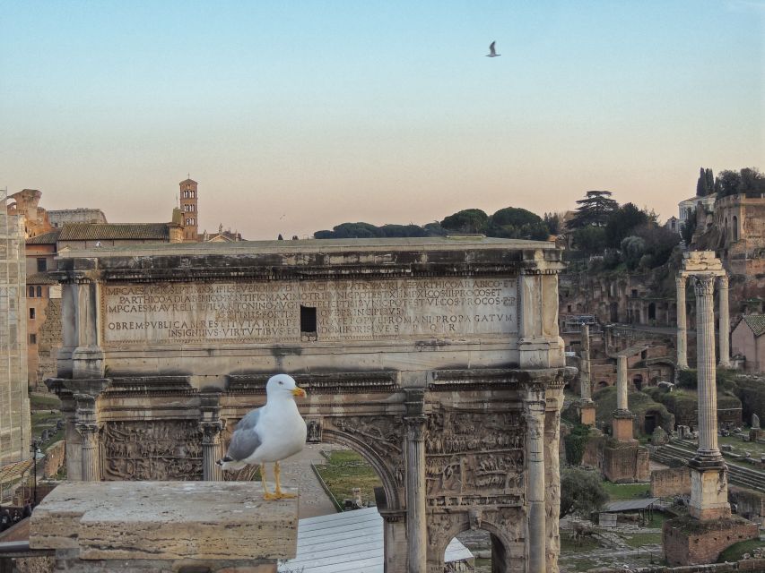 Rome: Colosseum With Arena Floor, Forum & Palatine Hill Tour - Exploring the Roman Forum